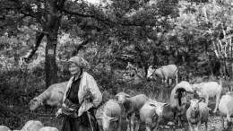 Mostra fotografica Luca Di Fabio