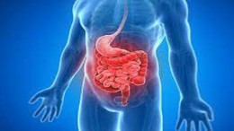 tumore grastro intestinale