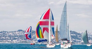 vela d'altura