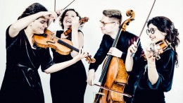 quartetto chaos
