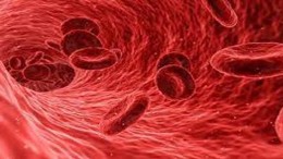 ematologia