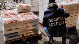 guardia costiera operazione senza traccia