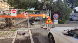 pino crollato a pescara