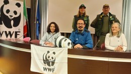 wwf conferenza bilancio 2022