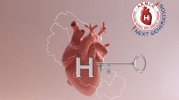 cuore
