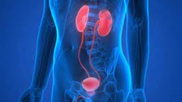 urologia