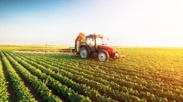 impresa agricola