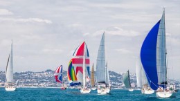 regata vela