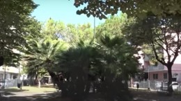 piazza santa caterina