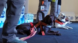 quattrozampexpo pescara
