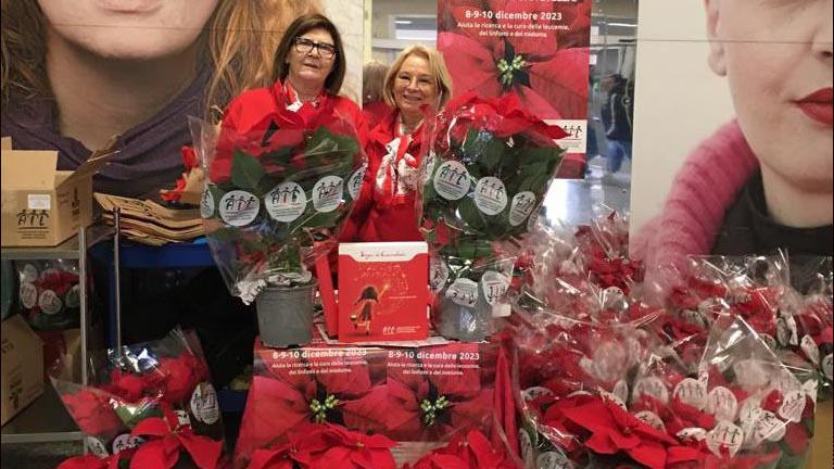 stelle di natale per l'AIL