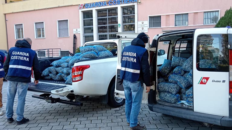 Vongole sequestrate dalla guardia costiera