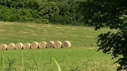 terreni agricoli e imu