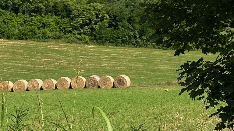 terreni agricoli e imu