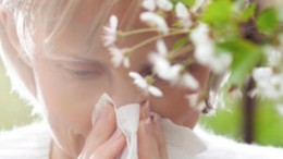 allergie