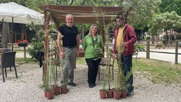 donazioni alberi conapla