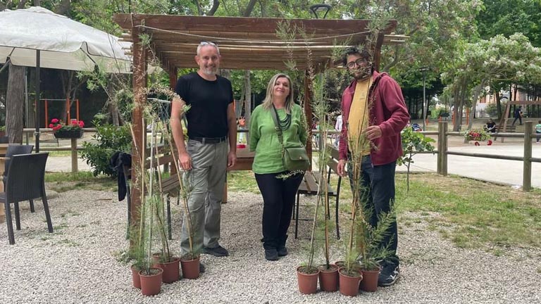 donazioni alberi conapla