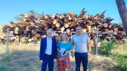 Pettinari- pericolo incendio alla pineta