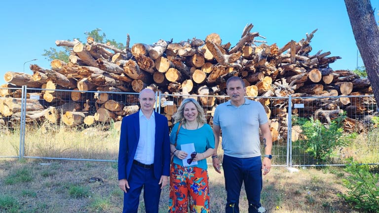 Pettinari- pericolo incendio alla pineta