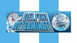 delfini determinati Pescara