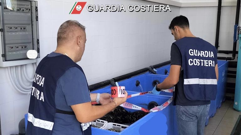 Guardia Costiera operazione LONG WEEK