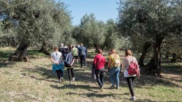 In Abruzzo salvare un oliveto salva la vita