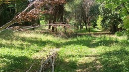 Parco Antonilli di Montesilvano - inizio lavori