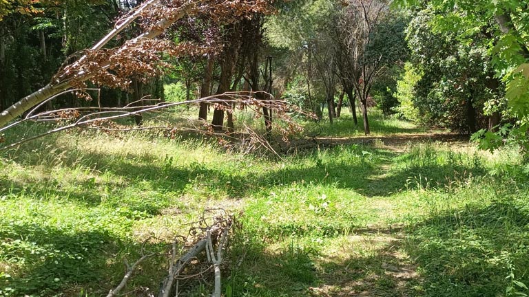 Parco Antonilli di Montesilvano - inizio lavori
