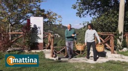 UnoMattina a Valle Castellana