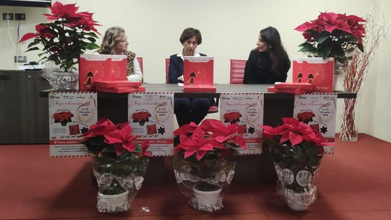 Ail e Stelle di Natale