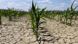 siccità terreni