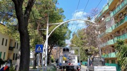 lavori di potatura sulla strada parco