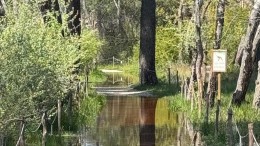 Parco pubblico Pescara