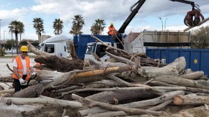 lavori di pulizia in spiaggia a Pescara