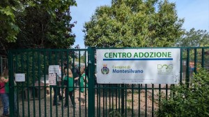 Dog village Montesilvano