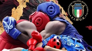 combattimento