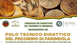pecorino di Farindola