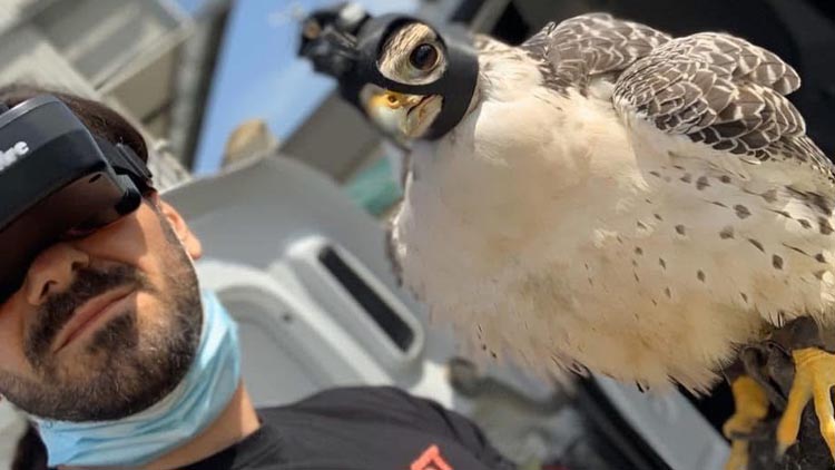 BIRD CONTROL A PESCARA