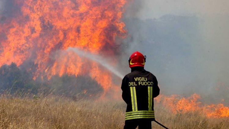 vigili del fuoco e incendi boschivi