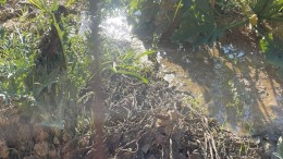 rottura tubazioni acqua