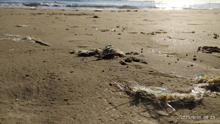 La stagione balneare è al termine. Lascia cumuli di fili di plastica tra la sabbia e in mare