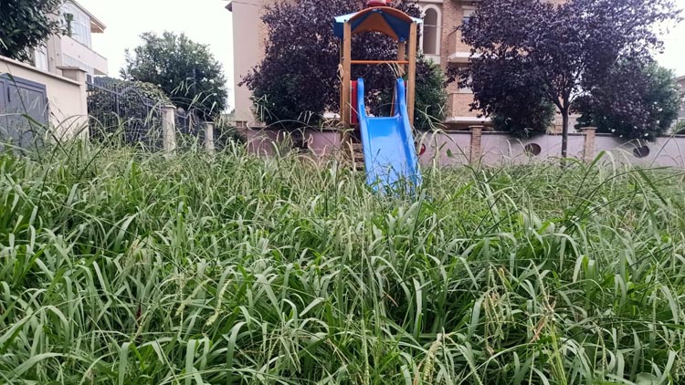 parco in abbandono a Montesilvano