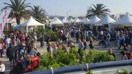 Mostra del fiore Florviva Pescara