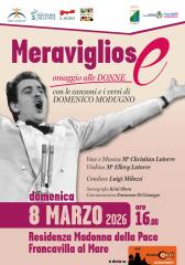 meravigliose locandina