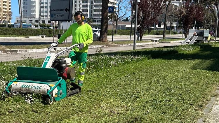 manutenzione verde a Montesilvano