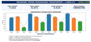 grafico 2