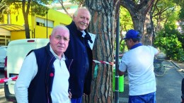 disinfestazioni per la Cocciniglia a Pescara