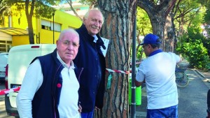 disinfestazioni per la Cocciniglia a Pescara