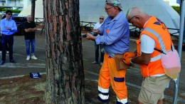 operai a lavoro per la cocciniglia