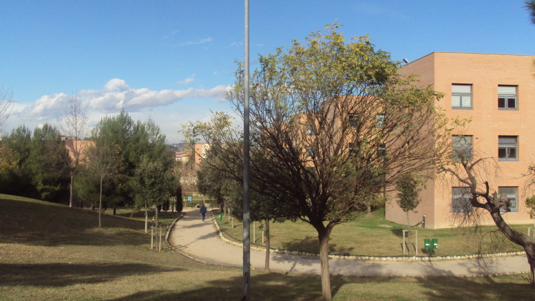 Universita d'Annunzio